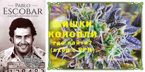 ГАЛЛЮЦИНОГЕННЫЕ ГРИБЫ Балахна