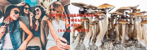 ГАЛЛЮЦИНОГЕННЫЕ ГРИБЫ Балахна