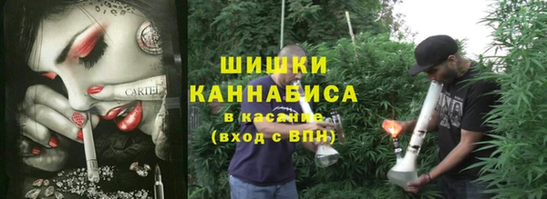 ГАЛЛЮЦИНОГЕННЫЕ ГРИБЫ Балахна