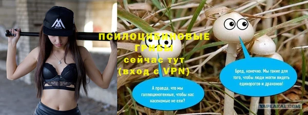 ГАЛЛЮЦИНОГЕННЫЕ ГРИБЫ Балахна