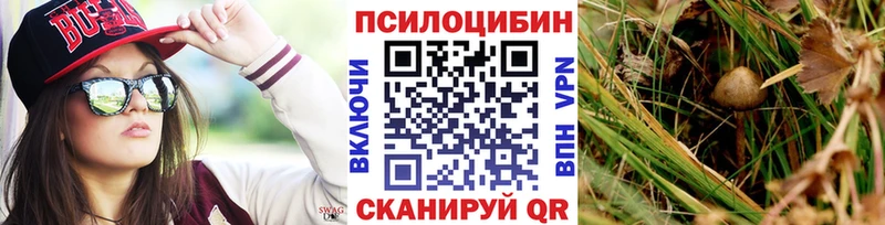 Галлюциногенные грибы Psilocybe  Верхнеуральск 
